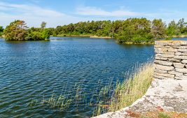 Minnesota Supreme Court Determines Limbo Creek Can be Regulated as a Public Water Thumbnail