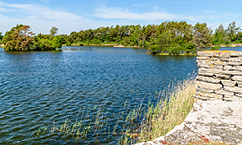 Real Estate, Environmental Law & Land Use