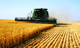 Agriculture & Agribusiness