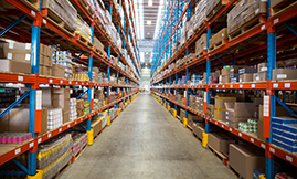 Wholesale & Retail Distribution