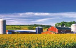 Dear Family Farm: Thank You Thumbnail