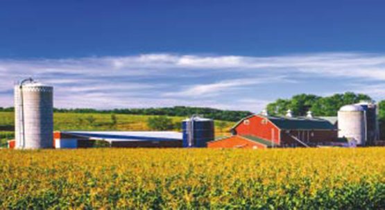 Dear Family Farm: Thank You Image