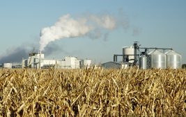 Dividing the Farm: Using Options to Rent and Options to Buy When Farmland Has to be Transferred Thumbnail