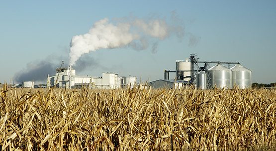 New Section 199A Qualified Business Income Deduction for Farmers:  Is COOP Still Worthwhile? Image