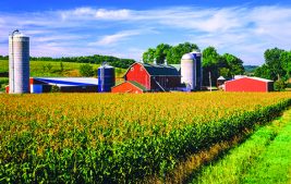 Farm Divorce: The Complex and Confounding Concept of the “Double Dip” Thumbnail