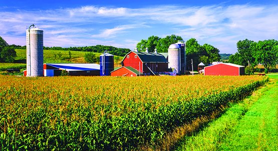 Marital Liens Can Help Resolve Farm Divorce Disputes Image
