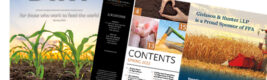 Dirt, Spring 2022 Thumbnail Image