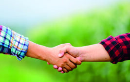 General Partnership: The Catch- All Relationship To Avoid Thumbnail