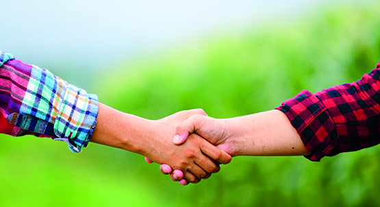 General Partnership: The Catch- All Relationship To Avoid Image