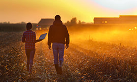 Agriculture Law & Agribusiness
