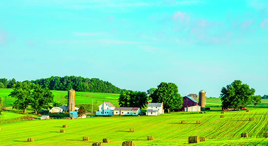 Insurance Basics: Moving Toward a Greater Understanding of the Role of Commercial Insurance in the Agricutural Industry Image