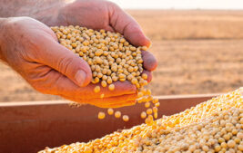Expansion of the Beginning Farmer Tax Credit: What is the BFTC Program and How Can It Benefit You? Thumbnail